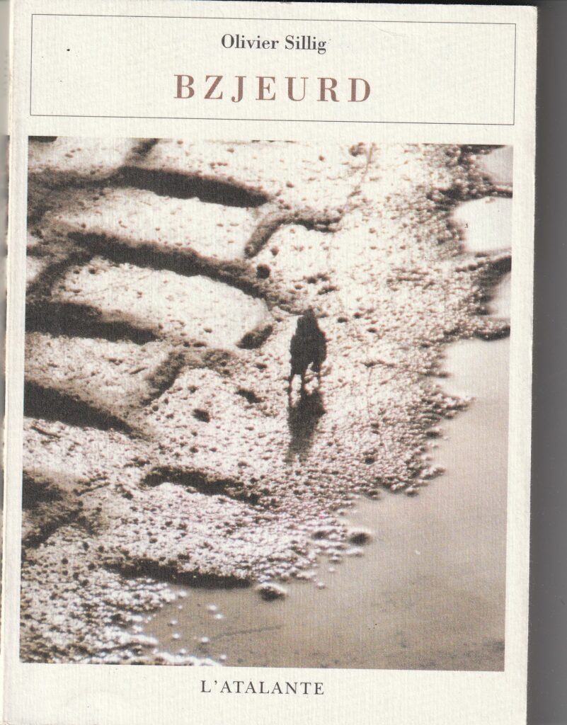 Couverture de Bzjeurd, d'Oliver Sillig.